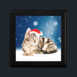 En Cute Cat med röd julhatt Snö Smyckeskrin<br><div class="desc">En Cute Cat med röd julhatt Snö</div>