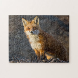 En Cute Little Fox Pussel
