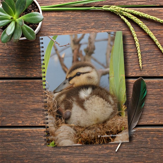 En Cute och Precocious Mallard Duckling Anteckningsbok Med Spiral (Mallard Gosling at the Pond Journal Cover Photo)