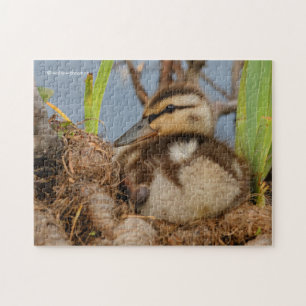 En Cute och Precocious Mallard Duckling Pussel