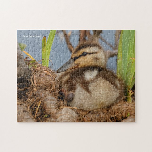 En Cute och Precocious Mallard Duckling Pussel (Horisontell)