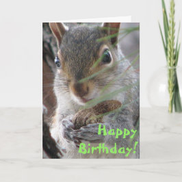 En Cute Squirrel Grävde upp en jordnöt Grattis på Kort