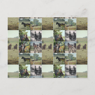 En dag i Kalona, Iowa Vykort