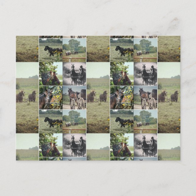 En dag i Kalona, Iowa Vykort (Framsida)