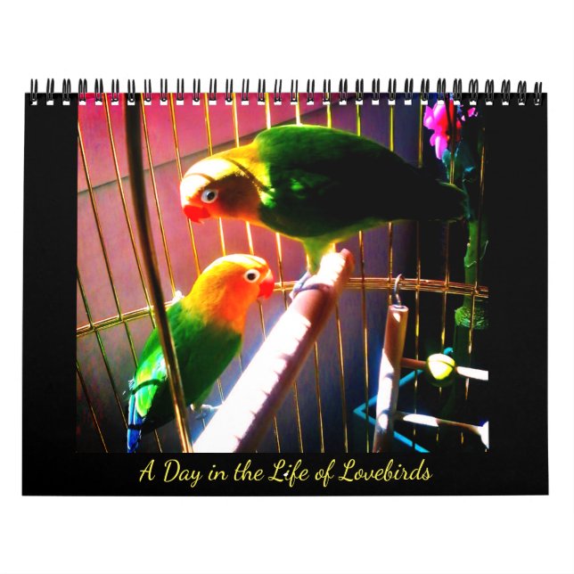 En dag i Lovefåglarnas liv Kalender (Omslag)