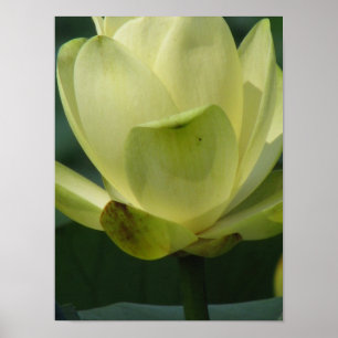 En dag i obligationsserien poster