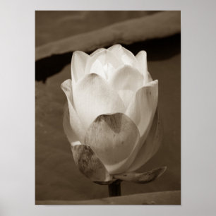 En dag i obligationsserien poster