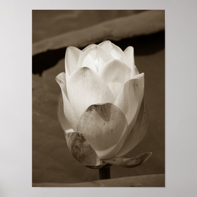 En dag i obligationsserien poster (Framsidan)