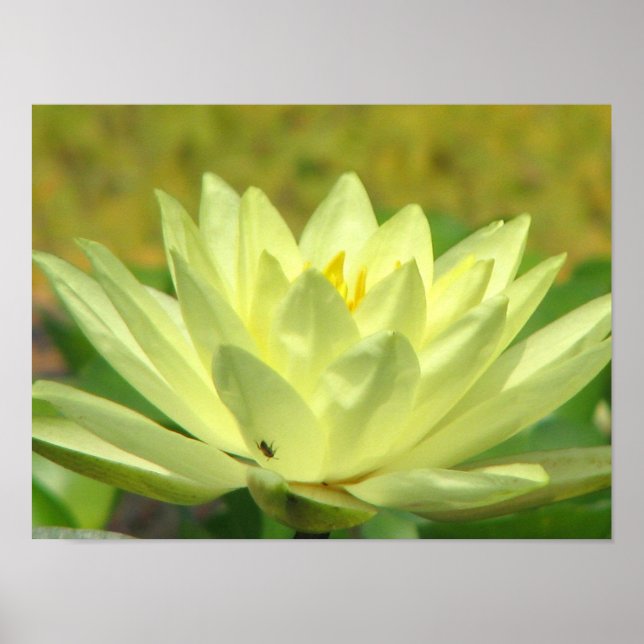 En dag i obligationsserien poster (Framsidan)