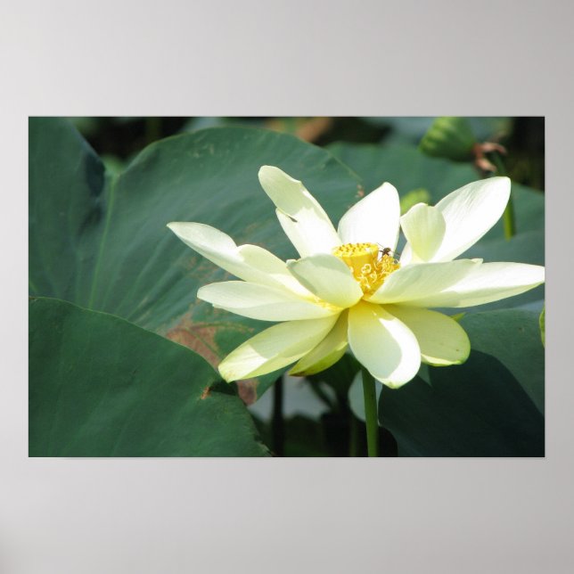 En dag i obligationsserien poster (Framsidan)