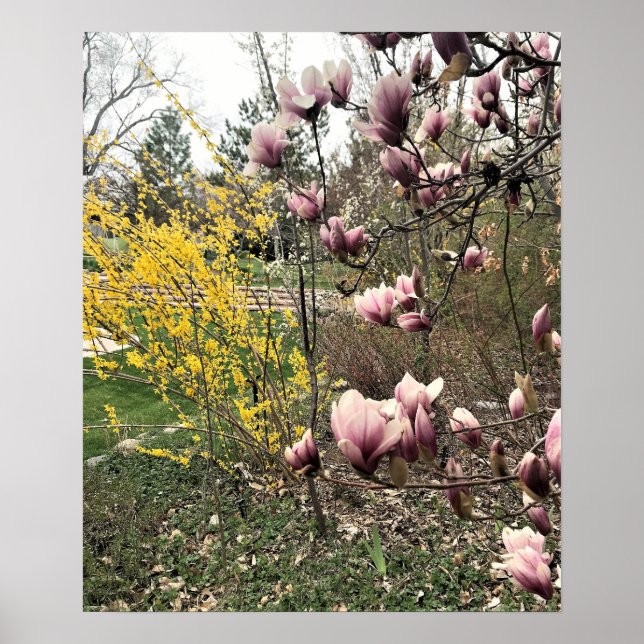 En dag i parken poster (Framsidan)