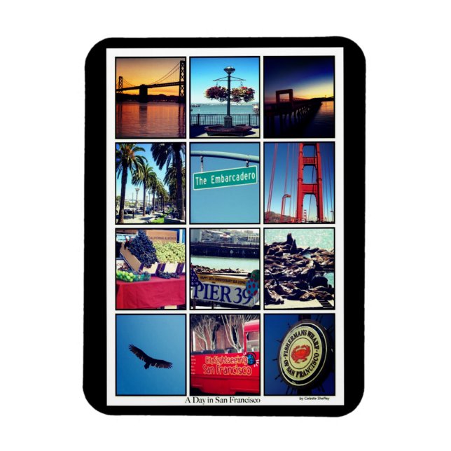 En dag i San Francisco Magnet (Vertikal)
