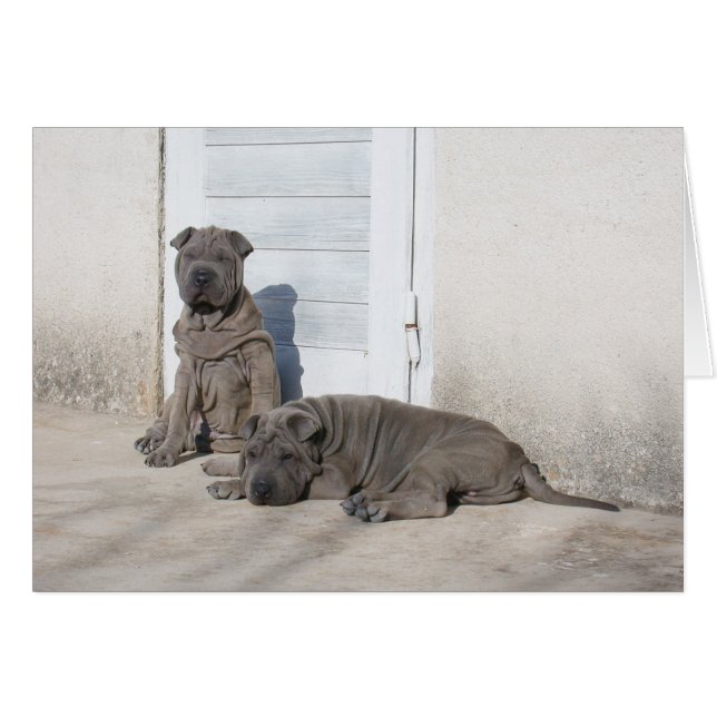 En dag i taget.. hälsningskort (Framsidan Horizontal)