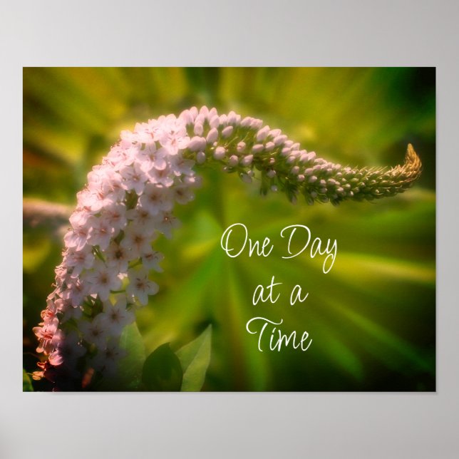 En dag i taget, vit Wildblominspiration Poster (Framsidan)