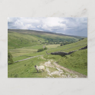 En dag i Yorkshire Dales-samlingen Vykort