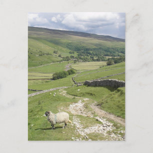En dag i Yorkshire Dales-samlingen Vykort