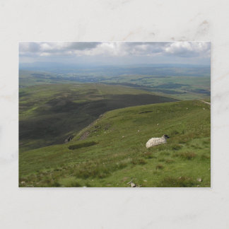 En dag i Yorkshire Dales-samlingen Vykort