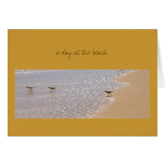 En dag på stranden OBS kort
