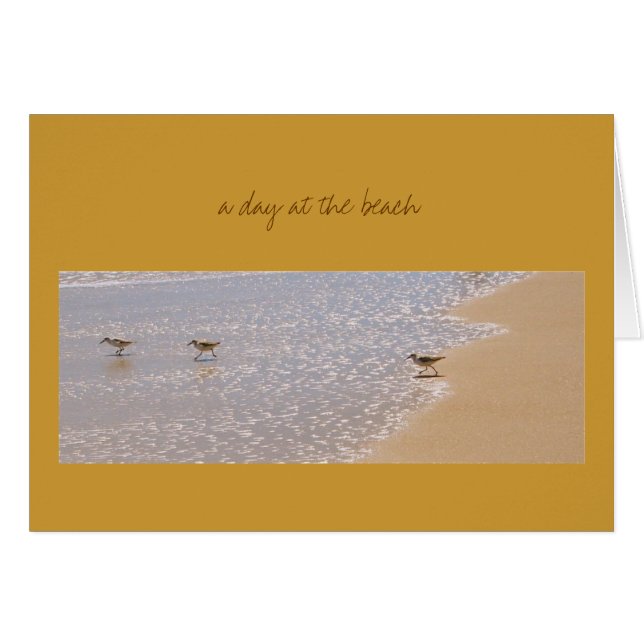 En dag på stranden OBS kort (Framsidan Horizontal)
