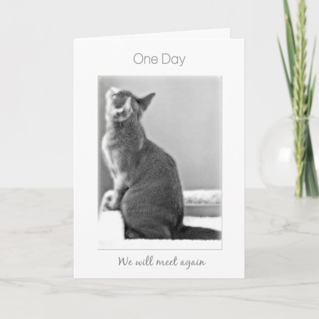 "En dag ska vi kattsympati för meeten igen" Kort (Framsida)
