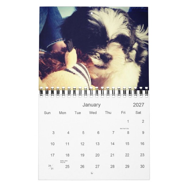 En dagstidningdos av pandaen kalender (Jan 2027)