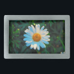 En Daisy<br><div class="desc">Stäng upp ett foto av en enda daisy mot mörk grönt löv.</div>