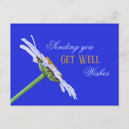 En Daisy blomma på arbetsytan Vykort