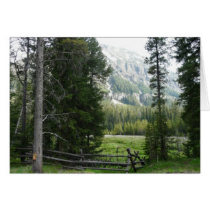 En dal i den Yellowstone nationalparken Hälsningskort