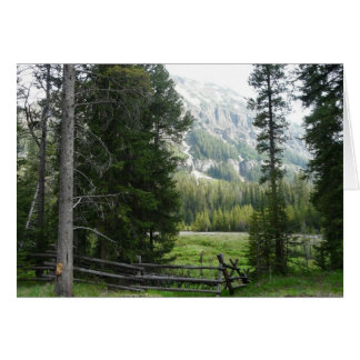 En dal i den Yellowstone nationalparken Hälsningskort