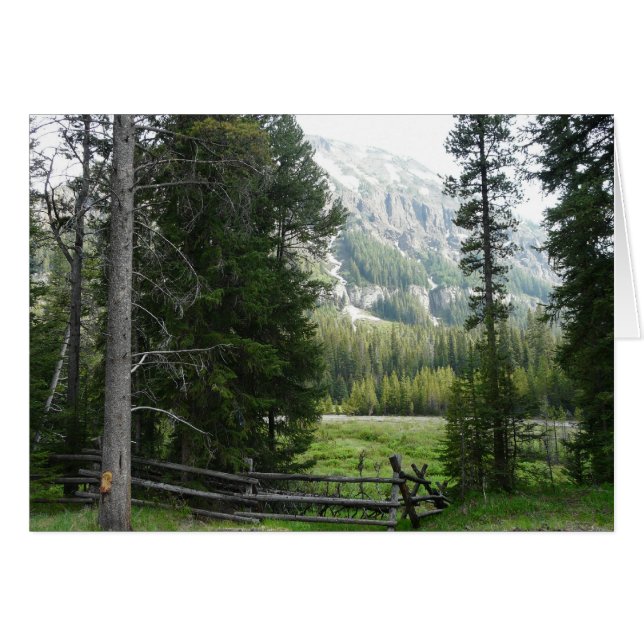 En dal i den Yellowstone nationalparken Hälsningskort (Framsidan Horizontal)