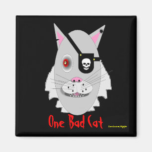 En dålig katt magnet