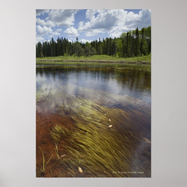 En damm som reflekterar molnen poster (Framsidan)