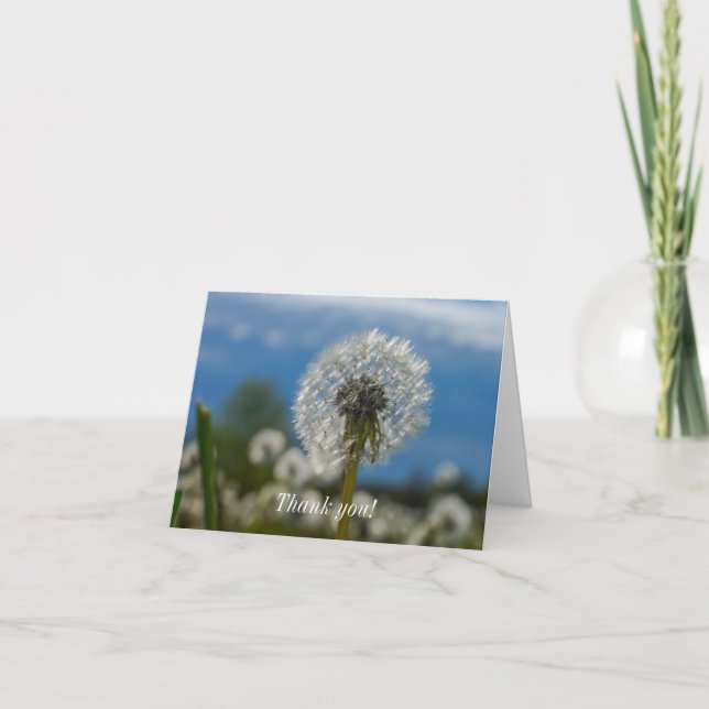 En dandelions skönhet tack kort (Framsida)