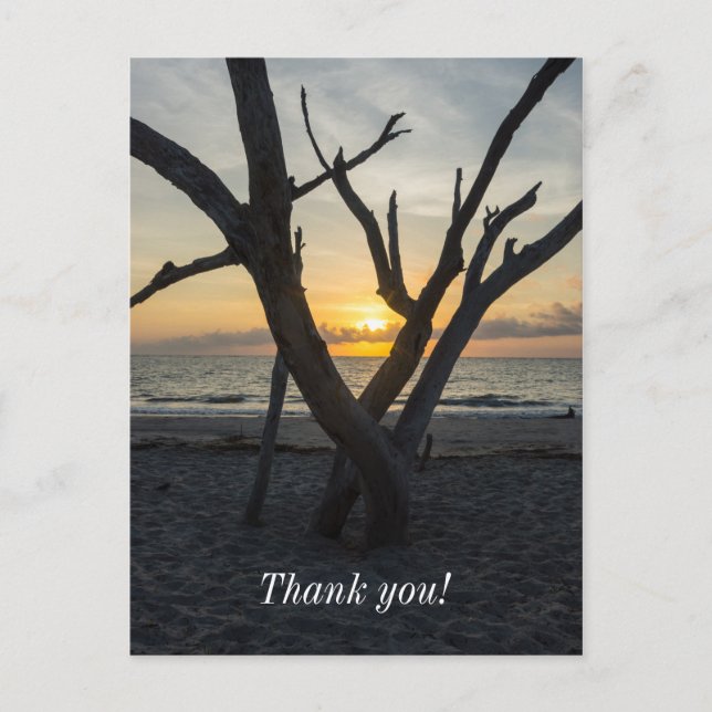 En dårskapens soluppgång vykort (Framsida)