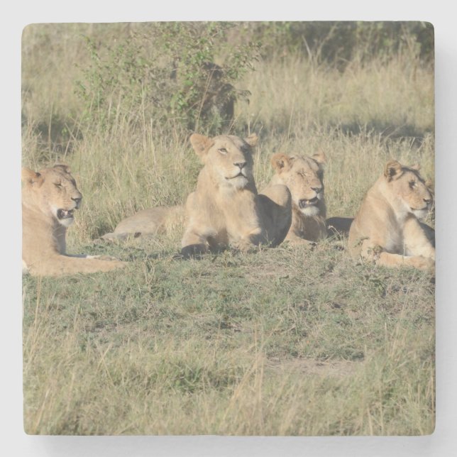 En del av ett Lejont Pride. Stenunderlägg (Framsidan)