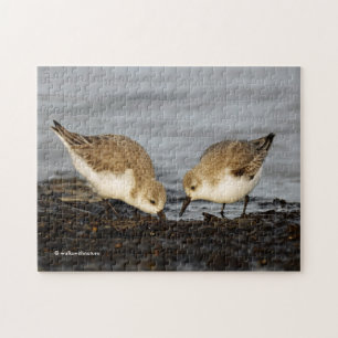 En del av Sanderlings Shares Pussel