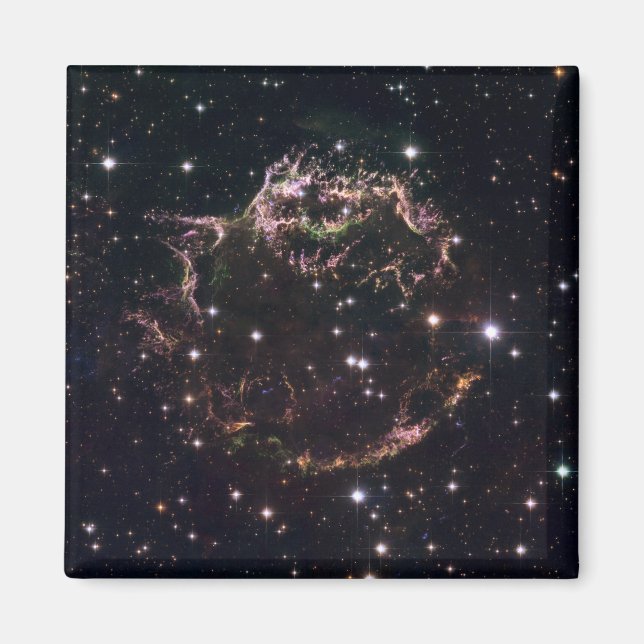 En detaljerad vy på de tatuerade kvarlevorna magnet (Framsidan)