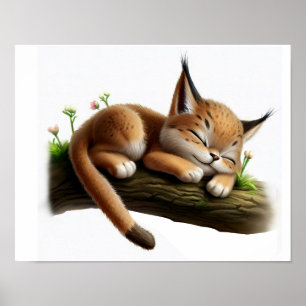En digital målning av ett Cute Young Lynx Poster
