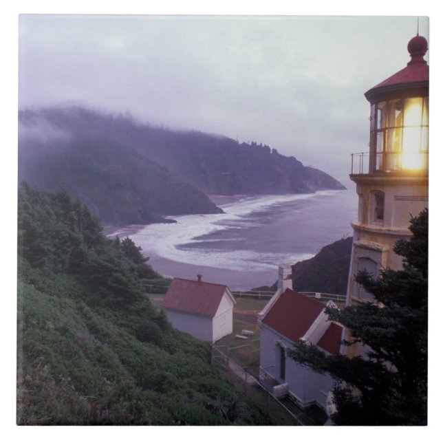 En dimmig dag på Oregon-kusten vid Heceta Kakelplatta (Framsidan)