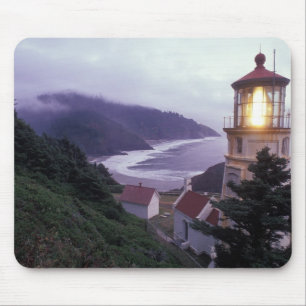En dimmig dag på Oregon-kusten vid Heceta Musmatta