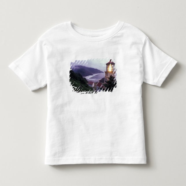 En dimmig dag på Oregon-kusten vid Heceta Tee (Framsida)
