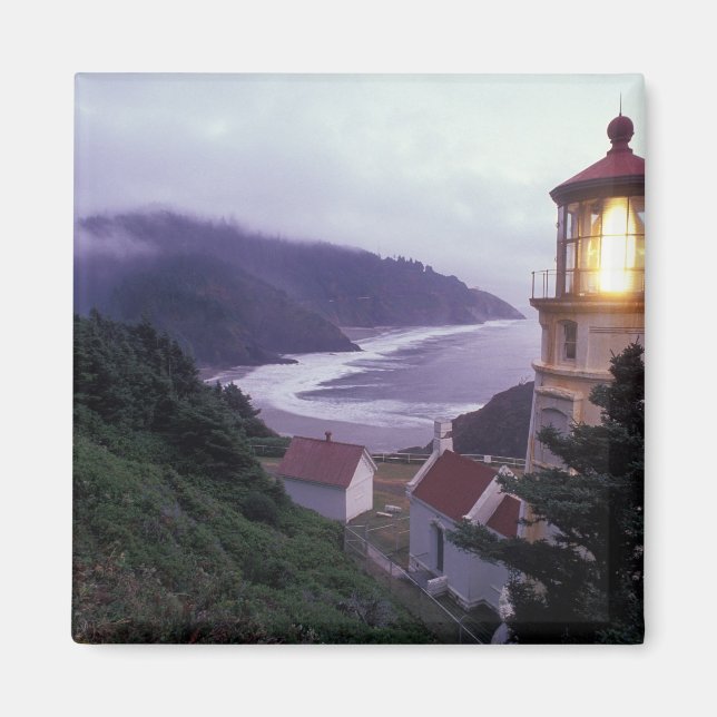 En dimmig dag på Oregons kust vid Heceta Magnet (Framsidan)