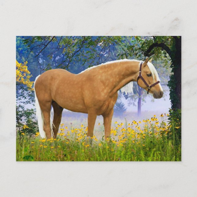 "En dimmig morgon"  Vykort (Framsida)