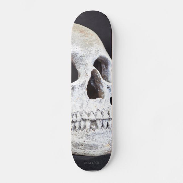 En dödskalle old school skateboard bräda 18 cm (Framsida)