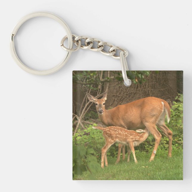 En doe och hennes fader (Framsidan)