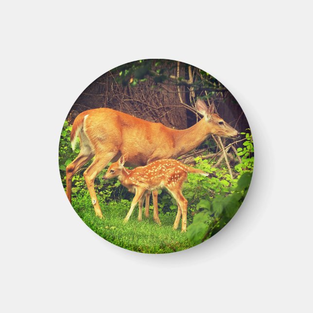 En doe och hennes fader magnet (Framsidan)