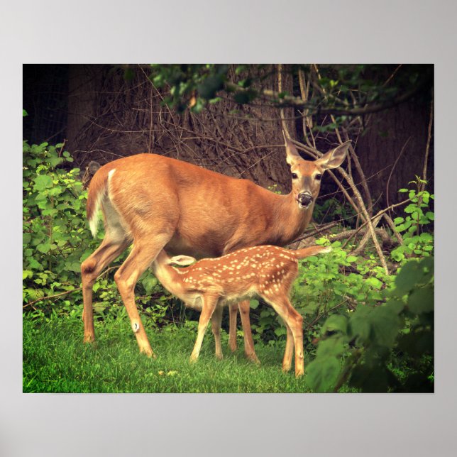En doe och hennes fader poster (Framsidan)