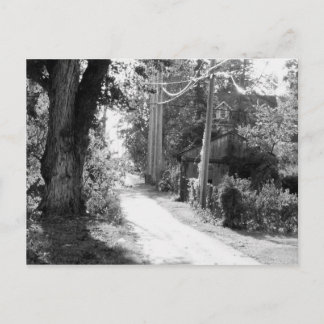 En Dream of Black and White Vykort