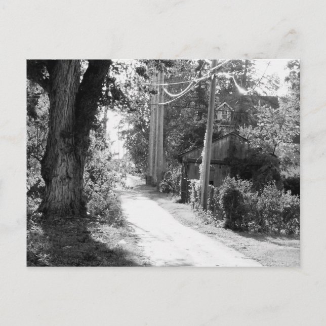 En Dream of Black and White Vykort (Framsida)