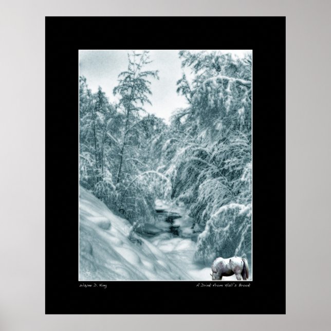 En drink från Hall's Brook - Poster finkonst (Framsidan)